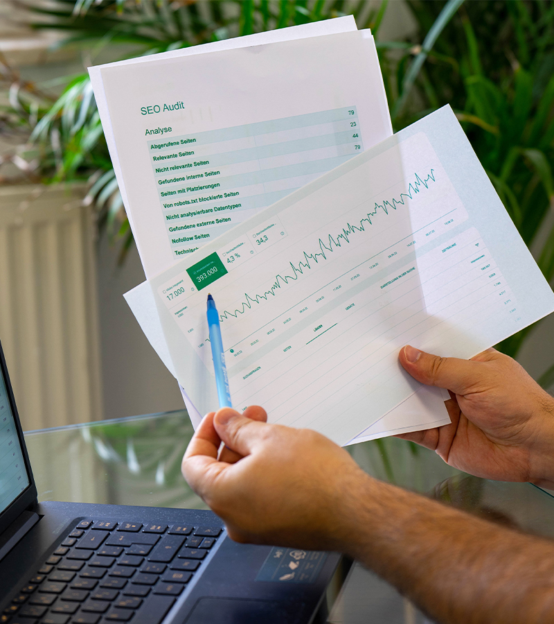 SEO Audit Analyse