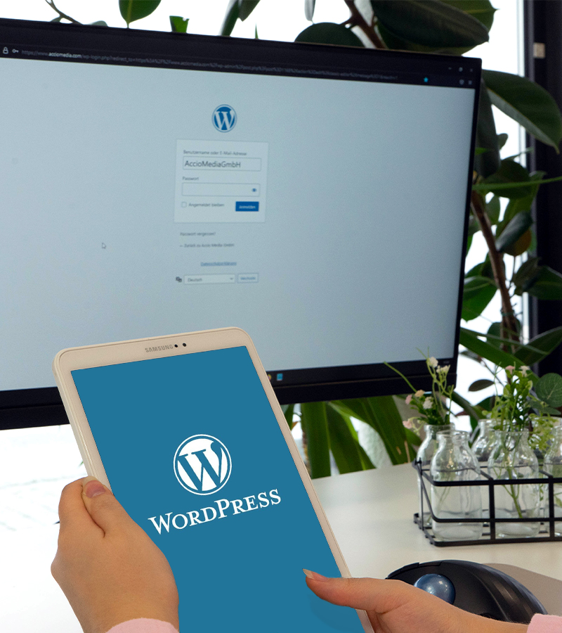 WordPress Agentur Leistungen